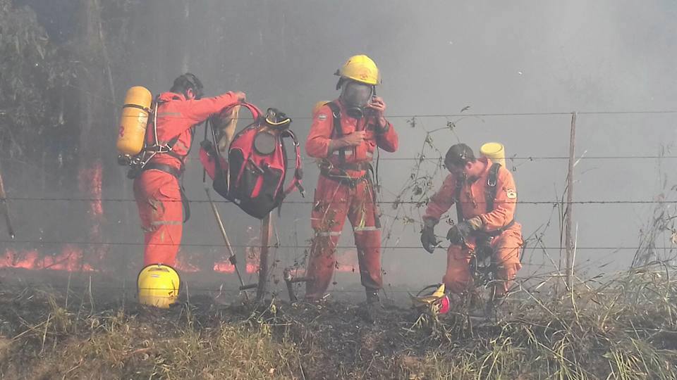 incendio 24-01-2016 zona rural arroyito