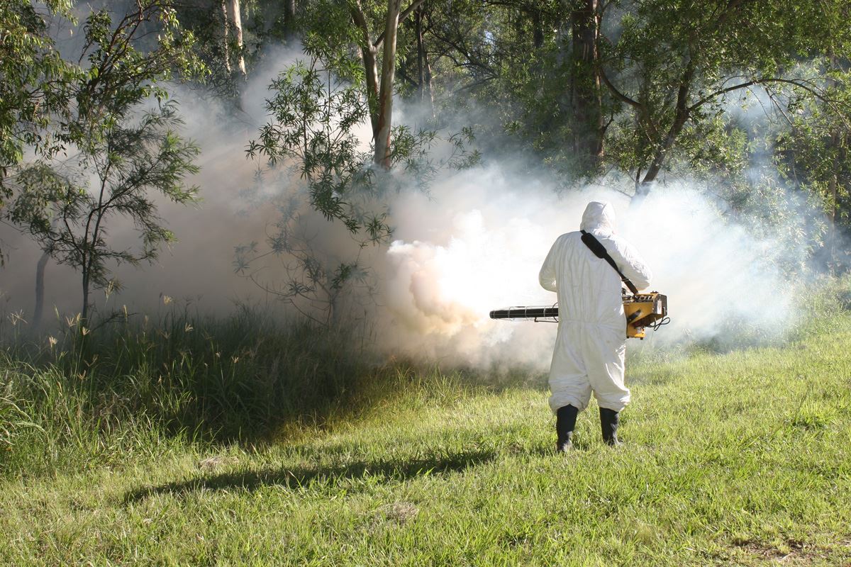 Comenzaron las fumigaciones contra mosquitos