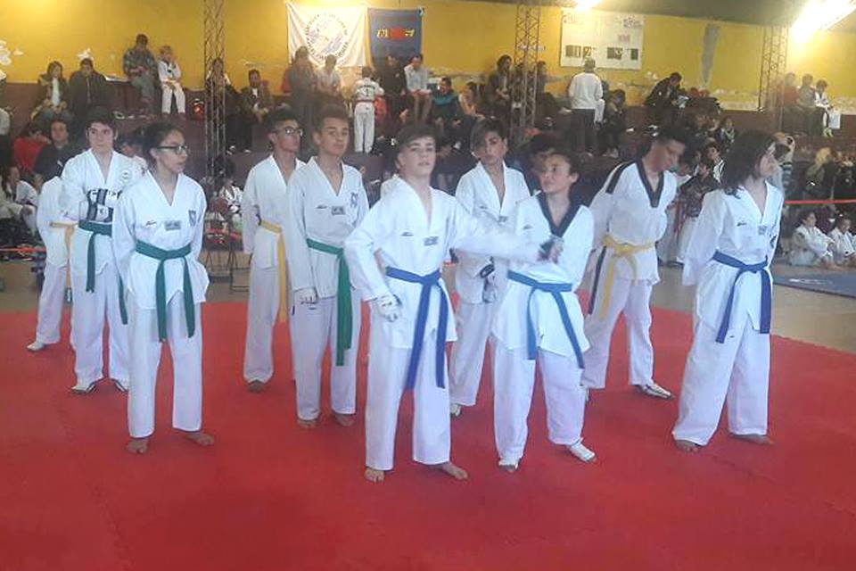 Deportistas locales obtuvieron logros en el provincial de Taekwondo