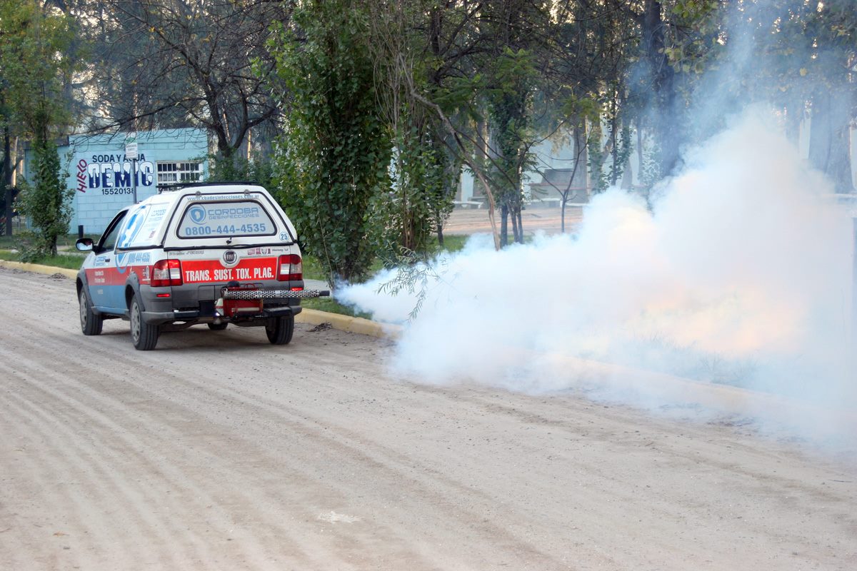 Comenzaron las fumigaciones contra el dengue