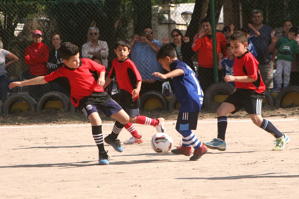 Comenzó la séptima edición del Torneo de Fútbol Infantil Televisado