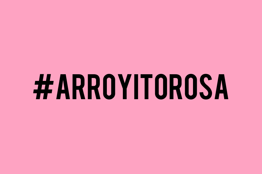 #Arroyitorosa la campaña digital que fue un éxito