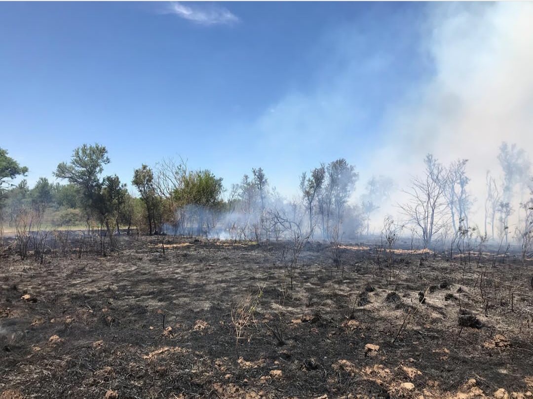 La Francia: Incendio de pastizales al norte de la localidad