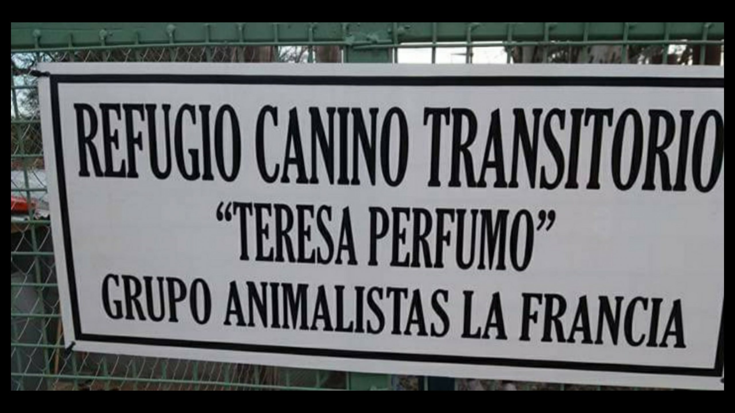 La Francia: El refugio canino local cierra sus puertas