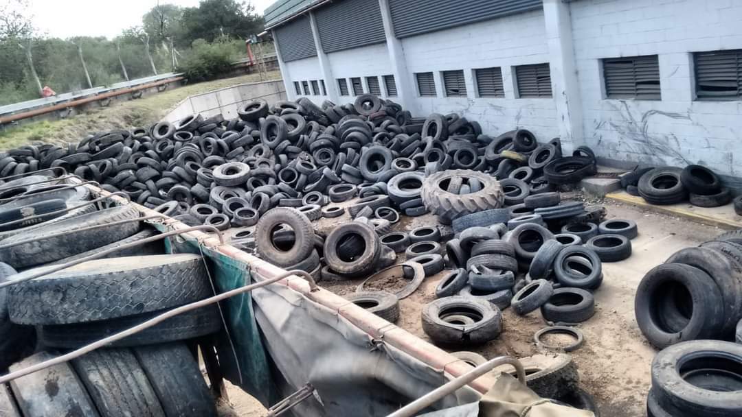 La Francia: El municipio recolectó 350 neumáticos para reciclar